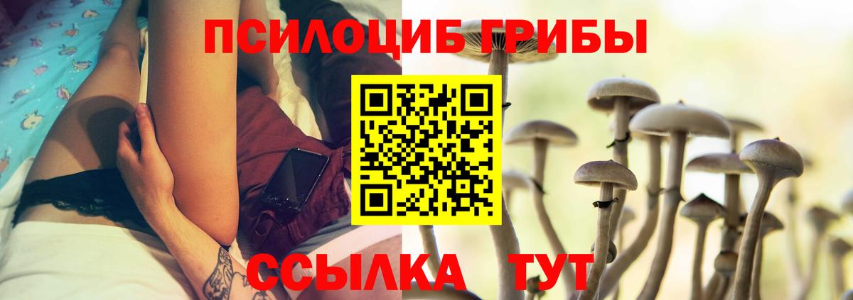 Кисловодск  Псилоцибиновые грибы ЛСД  Вход с VPN 